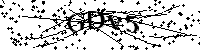 Моля въведете буквите и цифрите по-долу