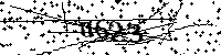 Моля въведете буквите и цифрите по-долу